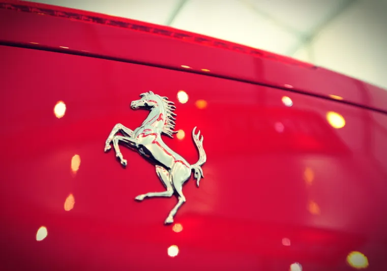 الحصان والسيارات.. قصة عجيبة كانت سببًا في اختيار هذا الحيوان لقياس قوة المحركات