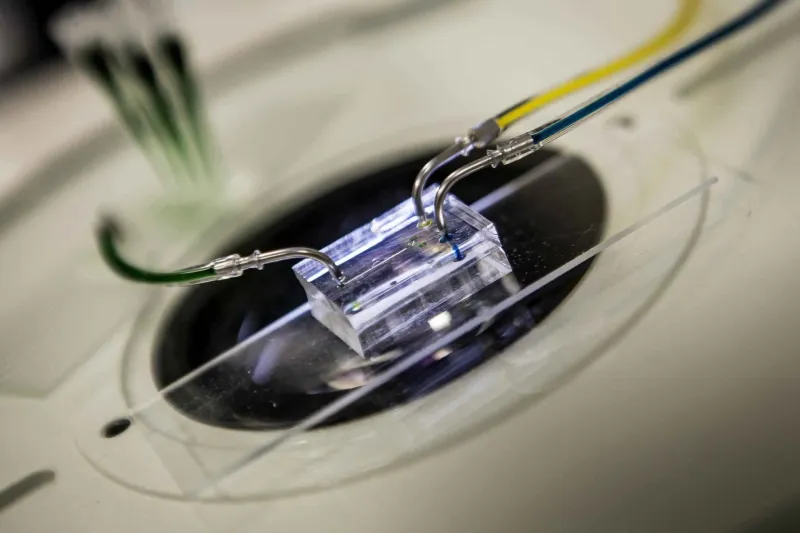 وسيلة إلكترونية حديثة تكشف المواد السامة في الطعام خلال 30 ثانية