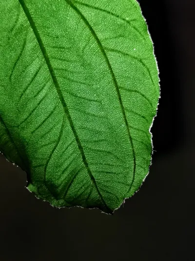 6 أسباب تجعل HUAWEI Mate 20 Pro ملك الهواتف الذكية