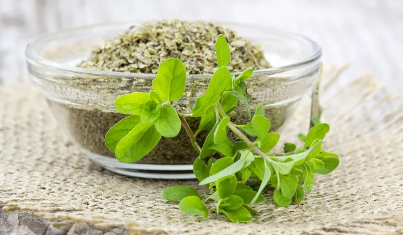 طريقة عمل البردقوش.. له فوائد صحية مذهلة 	