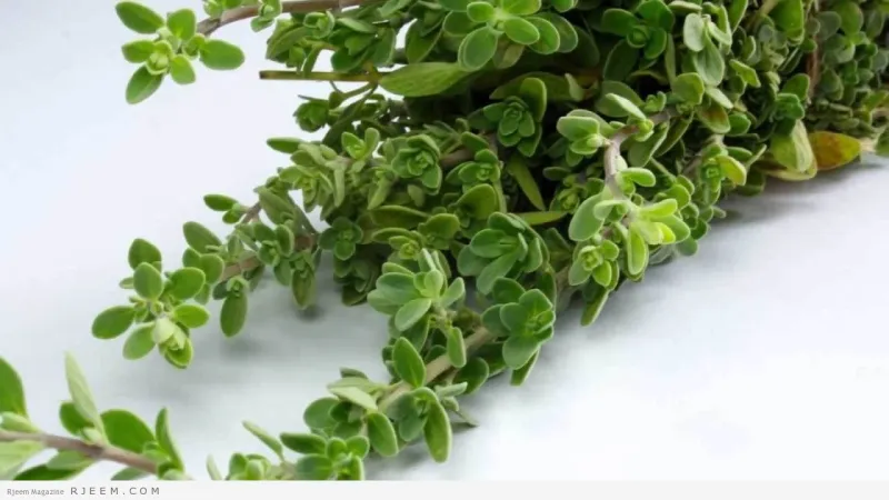 طريقة عمل البردقوش.. له فوائد صحية مذهلة 	