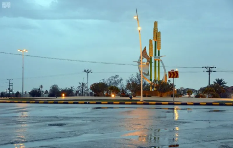 فيديو وصور: لماذا زار خادم الحرمين الملك سلمان القصيم؟ 