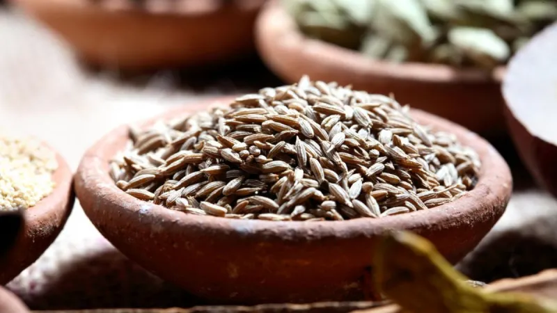 أفضل خمسة أعشاب لتخسيس الجسم