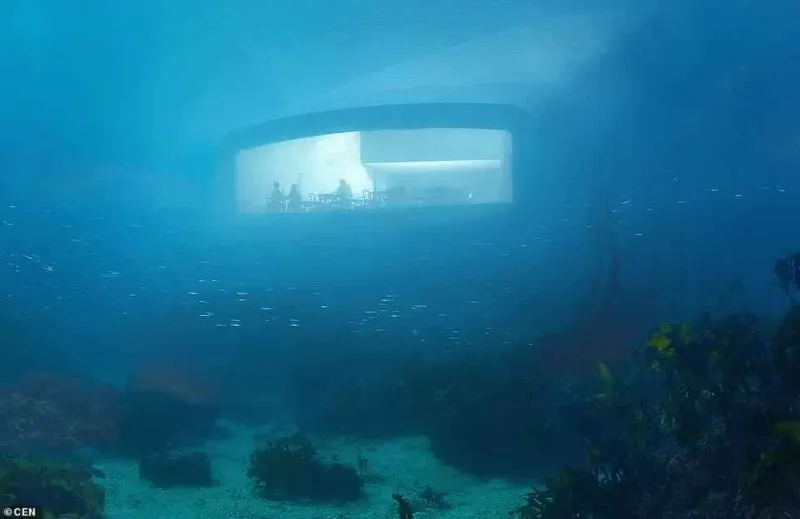 الحياة في أزهى صورها بقاع البحر.. جولة في أكبر مطعم تحت الماء (صور)