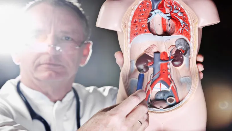 جميع أنواع أعراض البروستاتا وكيفية التخلص منه نهائيا