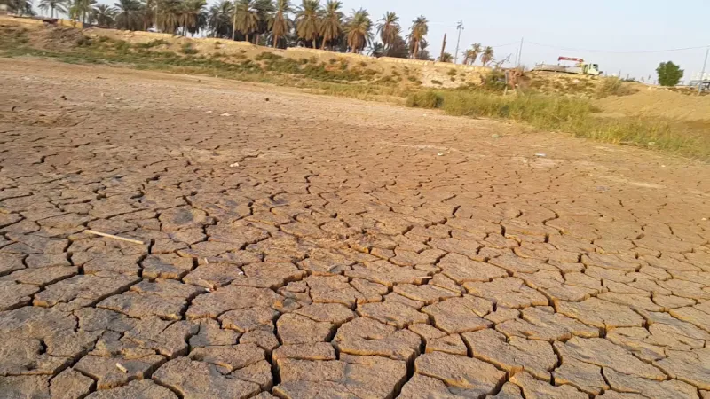 العام" الكئيب".. ما هو أسوأ عام في تاريخ البشرية على سطح الأرض؟