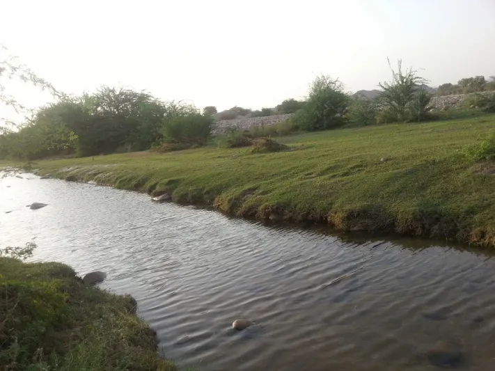 جمال الطبيعة الخلاب في وادي «يبه» (فيديو)