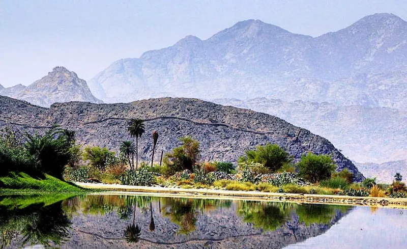 جمال الطبيعة الخلاب في وادي «يبه» (فيديو)