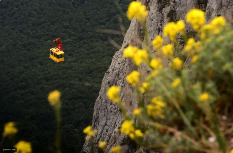 هذه المعابر الهوائية تحبس الأنفاس.. هل تجرؤ على الصعود؟!