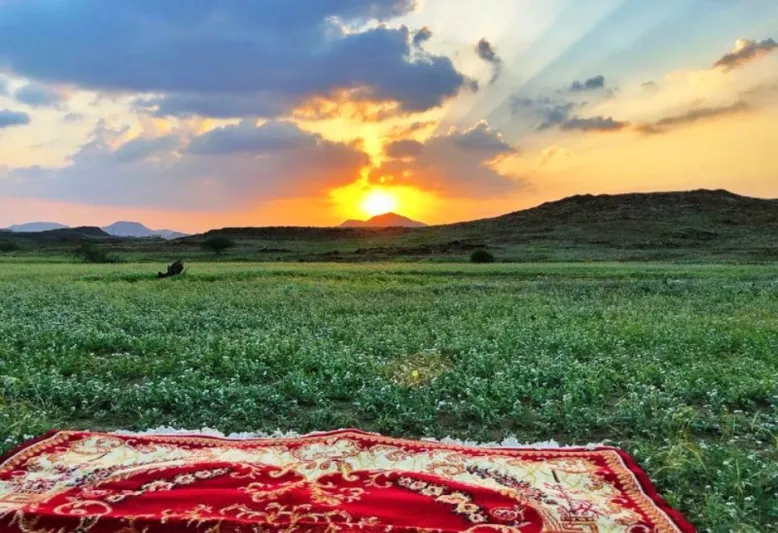 صور| الباحة تكتسي بالبساط الأخضر في مشهد رباني خلاب