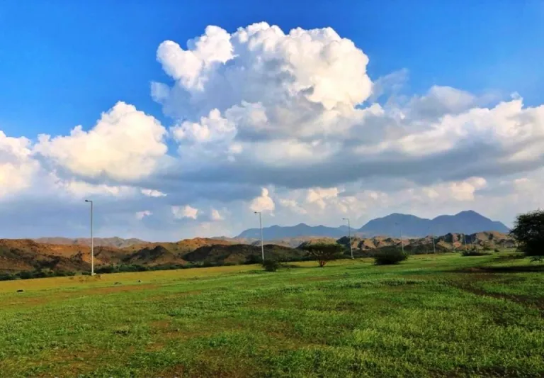 صور| الباحة تكتسي بالبساط الأخضر في مشهد رباني خلاب