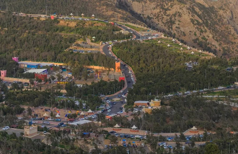 صور| الباحة تكتسي بالبساط الأخضر في مشهد رباني خلاب