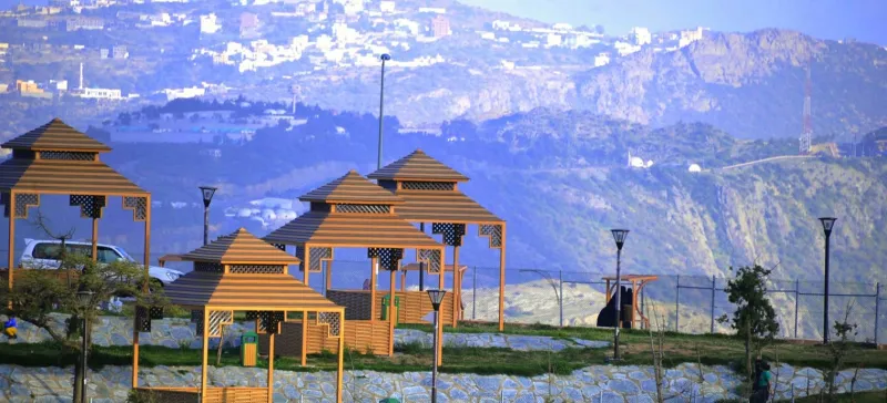 صور| الباحة تكتسي بالبساط الأخضر في مشهد رباني خلاب