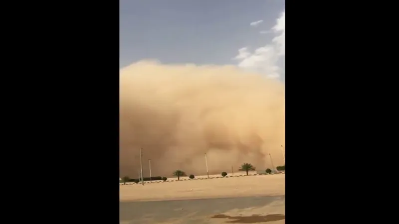 تعرف على عدد العواصف الرملية التي تتعرض لها المملكة