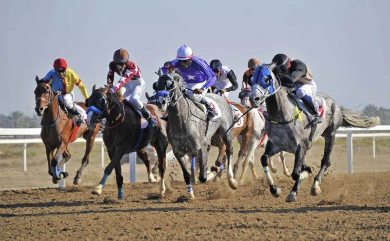 أضخم الخيول في العالم.. "بانية" أبطأ سباق خيل تجده في هذه الجزيرة