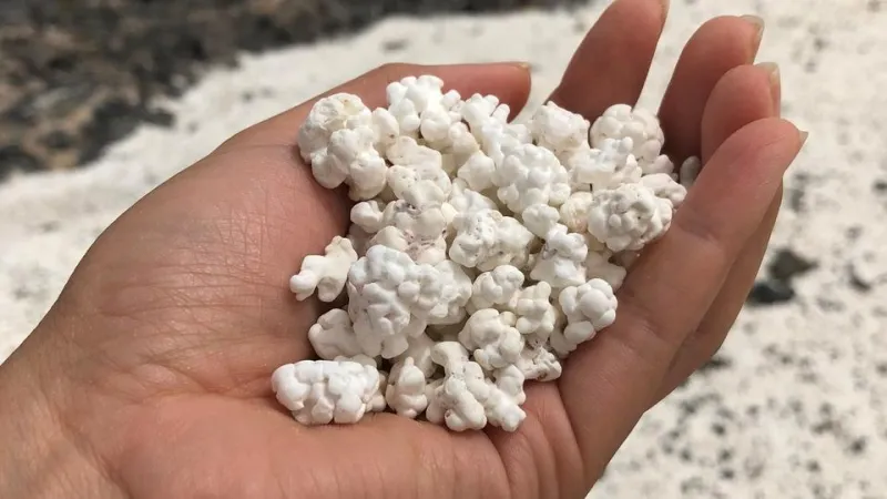 جزيرة إسبانية شاطئها فشار لا يؤكل (صور)