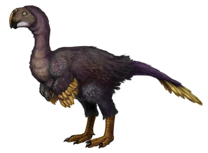 ماذا كانت تأكل الديناصورات ؟..العلماء يجيبون