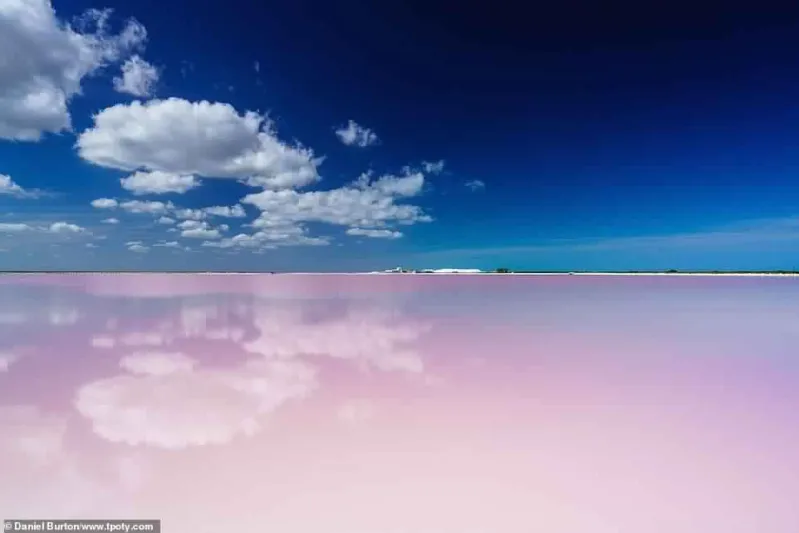 توثق جمال الأرض.. شاهد الصور الفائزة في مسابقة مصور السفر 2018 (صور)