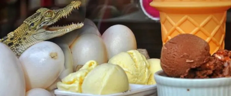 أسعارها خيالية.. أغرب أنواع البيض الصالحة للطعام