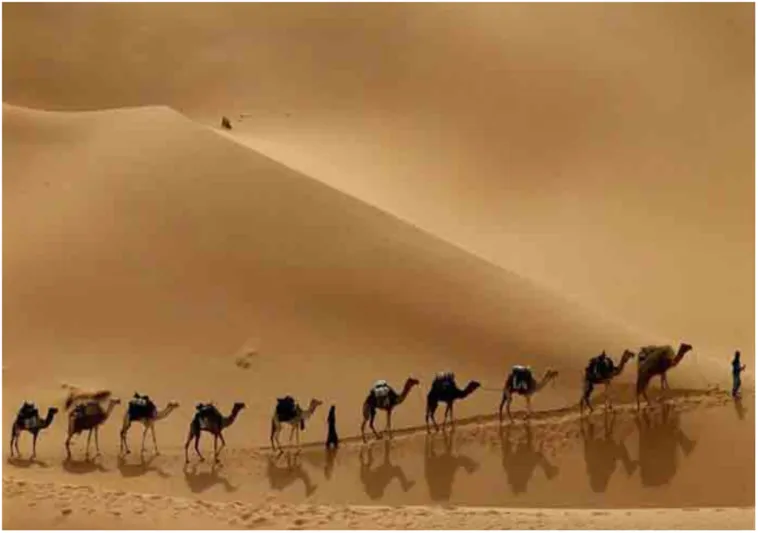 بعنوان "تائه في المملكة".. فيلم قصير لمخرج عالمي عن أشهر الأماكن السياحية فيها