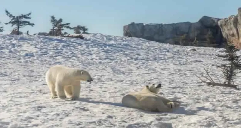 تعرف على أهم 19 وجهة سياحية في العالم لعام 2019