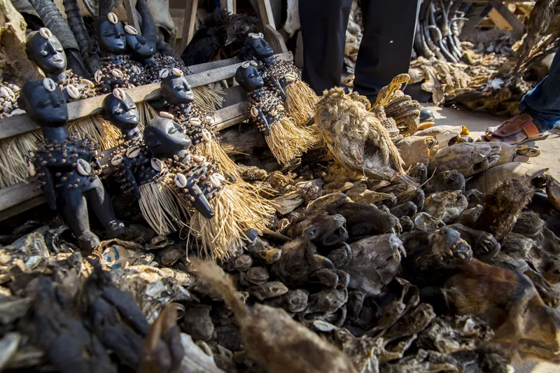 بينها سوق للسحرة وعلى شريط قطار.. أغرب الأسواق في العالم