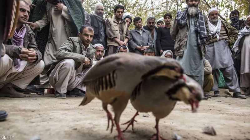 بينها سوق للسحرة وعلى شريط قطار.. أغرب الأسواق في العالم