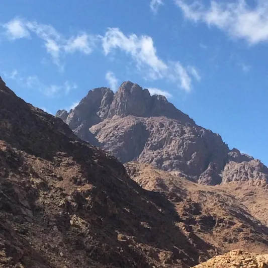 ما هو جبل اللوز الذي زاره ولي العهد السعودي؟