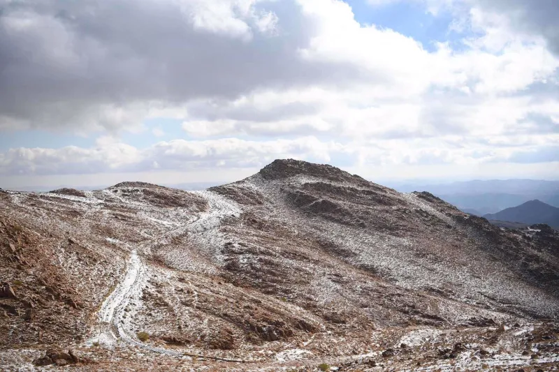 ما هو جبل اللوز الذي زاره ولي العهد السعودي؟