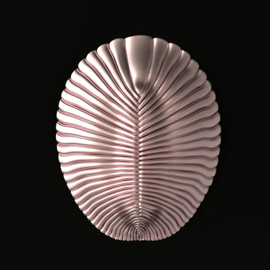 صور| أبرز الاكتشافات العلمية لعام 2018