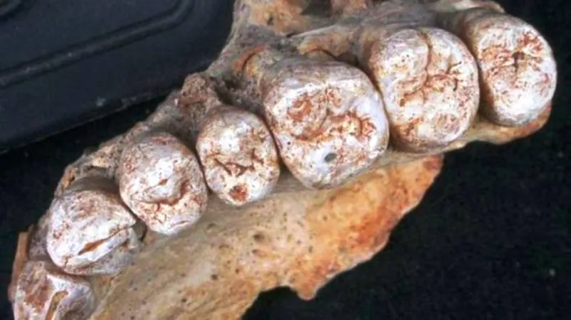 صور| أبرز الاكتشافات العلمية لعام 2018