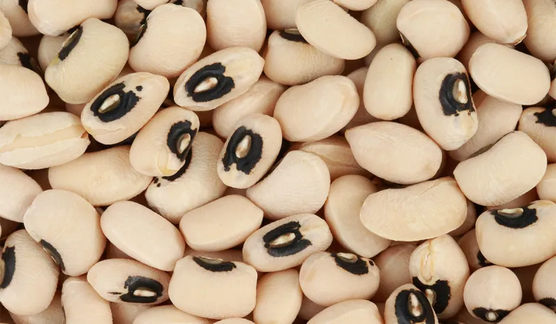 فوائد لوبيا العين السوداء لصحة الجسم لا تعد ولا تحصى