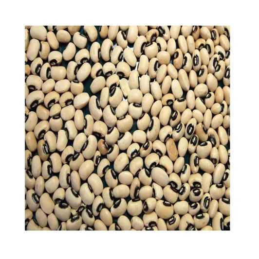 فوائد لوبيا العين السوداء لصحة الجسم لا تعد ولا تحصى