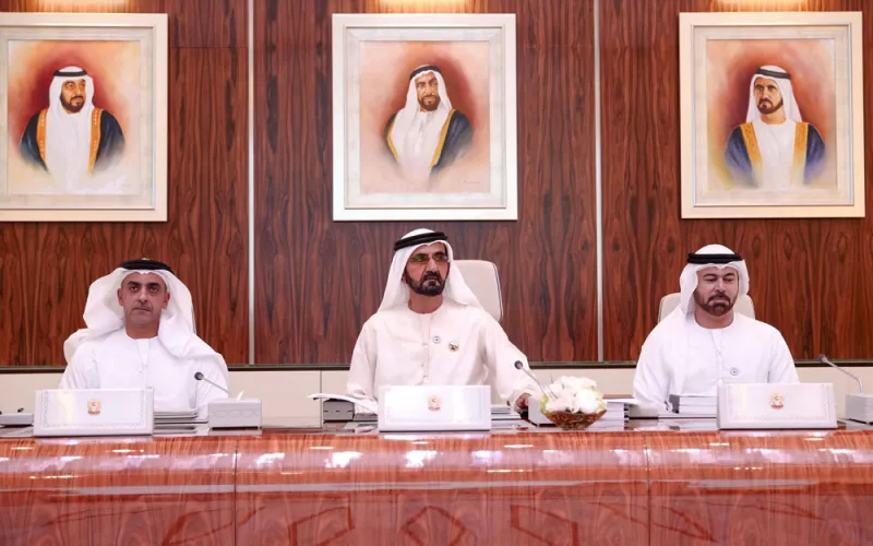 ما الذي حققته الإمارات في عام زايد؟