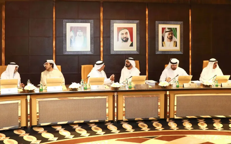 ما الذي حققته الإمارات في عام زايد؟