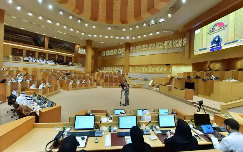 ما الذي حققته الإمارات في عام زايد؟