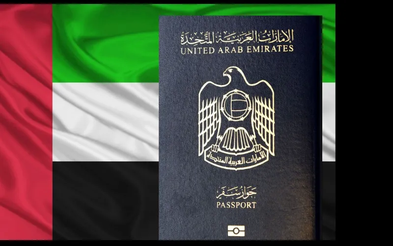 ما الذي حققته الإمارات في عام زايد؟