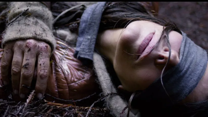  بعد نجاحه عالمياً ..« Bird Box» يتسبب في ظهور تحدي جديد (فيديو)