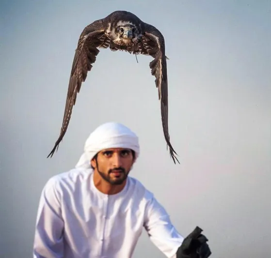 ولي عهد دبي يسبح وسط الأفيال (فيديو)