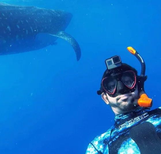 ولي عهد دبي يسبح وسط الأفيال (فيديو)