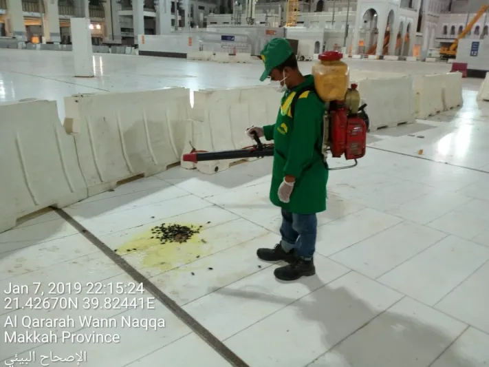 استنفار السلطات بالمملكة للقضاء على حشرات الليل داخل الحرم والجراد (فيديو)