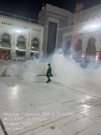 استنفار السلطات بالمملكة للقضاء على حشرات الليل داخل الحرم والجراد (فيديو)