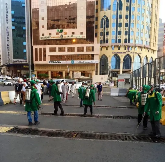 استنفار السلطات بالمملكة للقضاء على حشرات الليل داخل الحرم والجراد (فيديو)