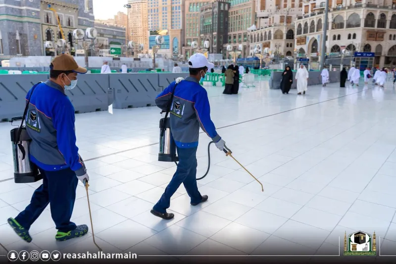 عمليات تطهير الحرم المكي من الحشرات تنجح في القضاء على 95% منها (فيديو)