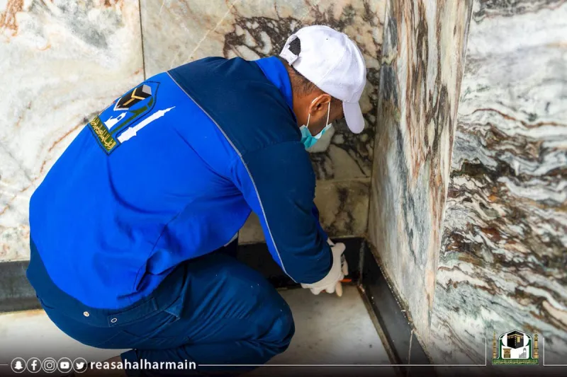 عمليات تطهير الحرم المكي من الحشرات تنجح في القضاء على 95% منها (فيديو)