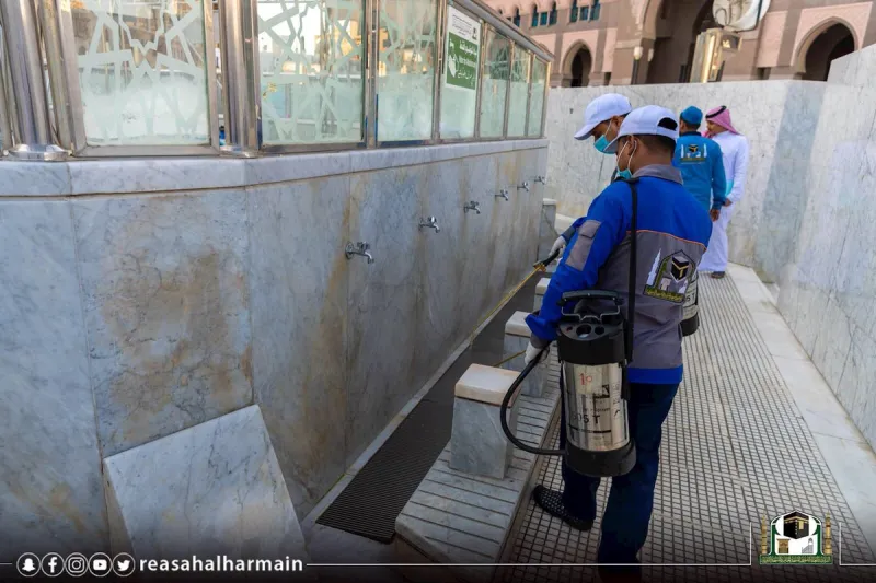 عمليات تطهير الحرم المكي من الحشرات تنجح في القضاء على 95% منها (فيديو)