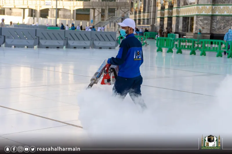عمليات تطهير الحرم المكي من الحشرات تنجح في القضاء على 95% منها (فيديو)
