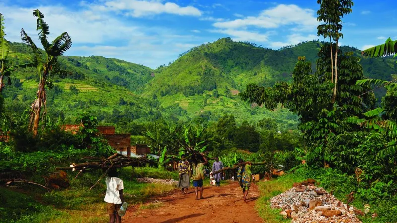 لعشاق السفاري. .دول إفريقية لتجربة لا تنسى 