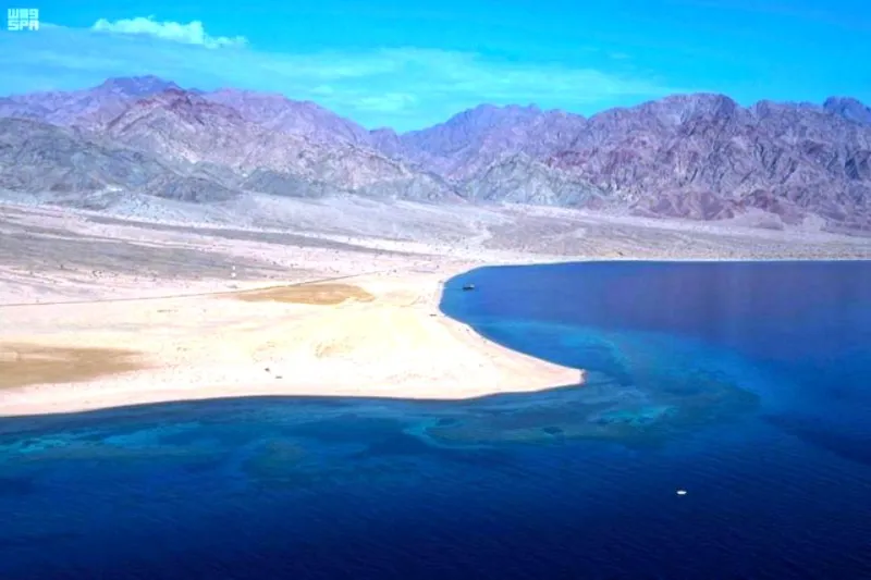 برئاسة ولي العهد.. «المجلس التأسيسي» يوجه بالبدء في تطوير «خليج نيوم»