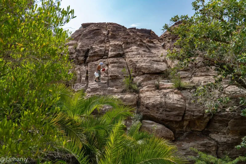 جبال القهر.. لوحة ربانية بديعة تأسر الأنظار بجمالها (فيديو)